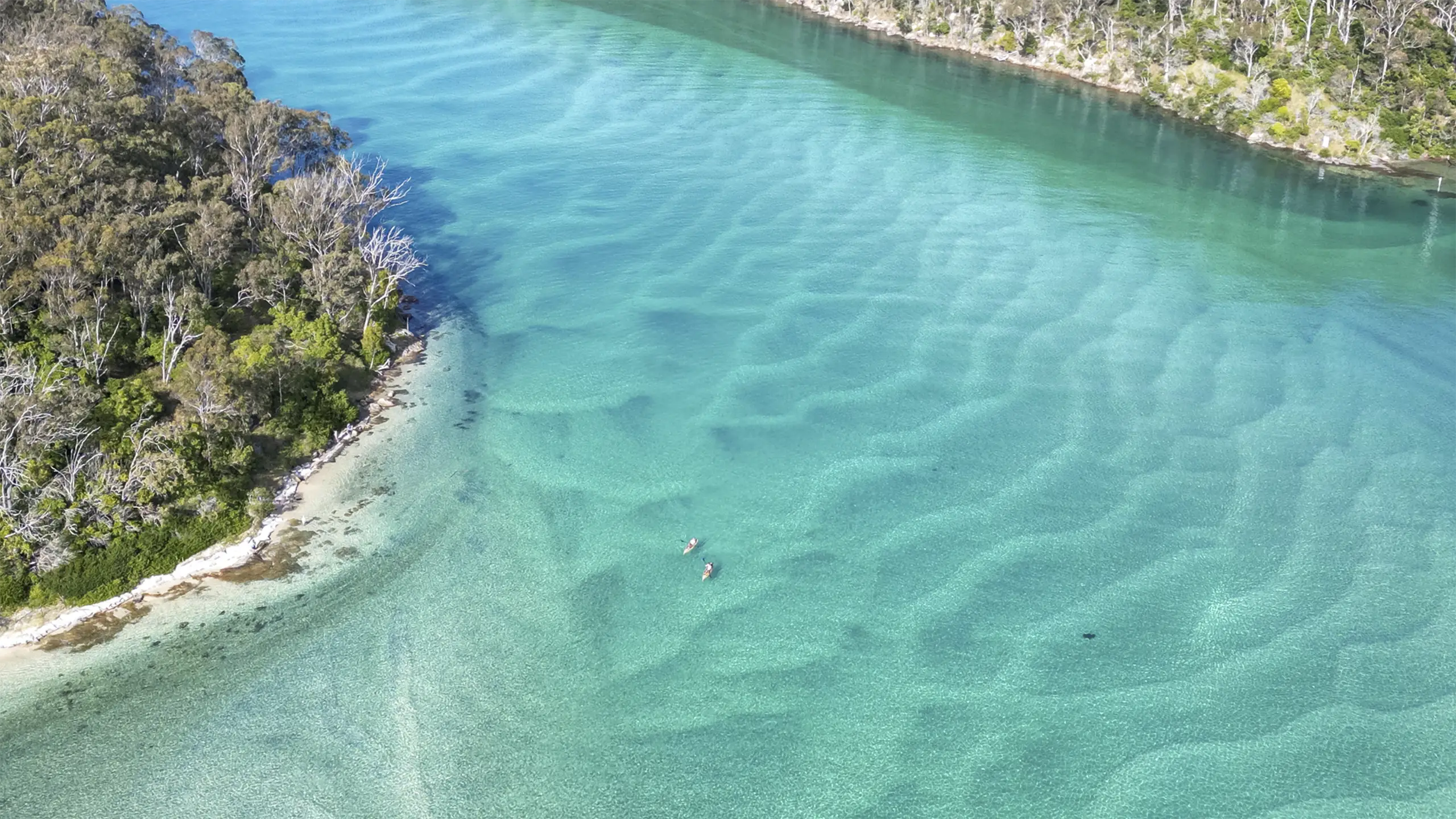 Navigate Expeditions Pambula River Kayak hero image