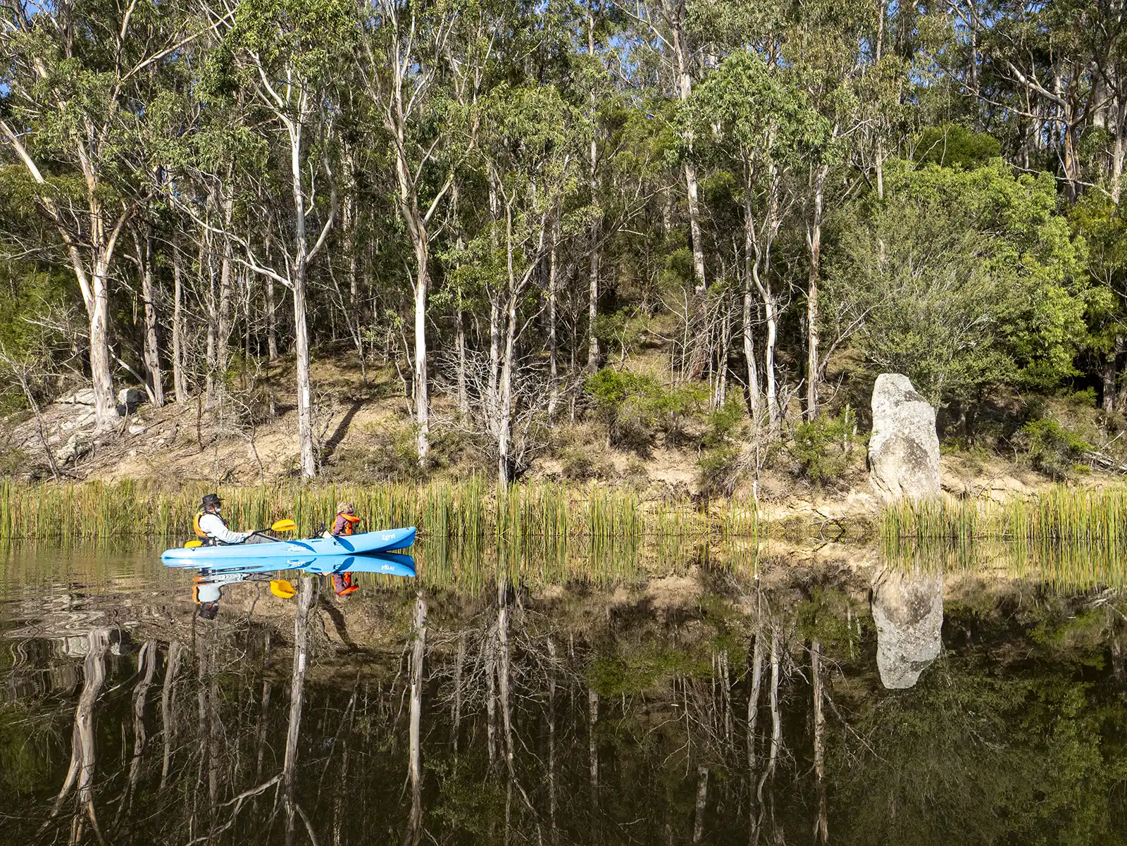 Grandfather and granddaughter kayaking Brogo Dam shoreline, searching for wildlife.